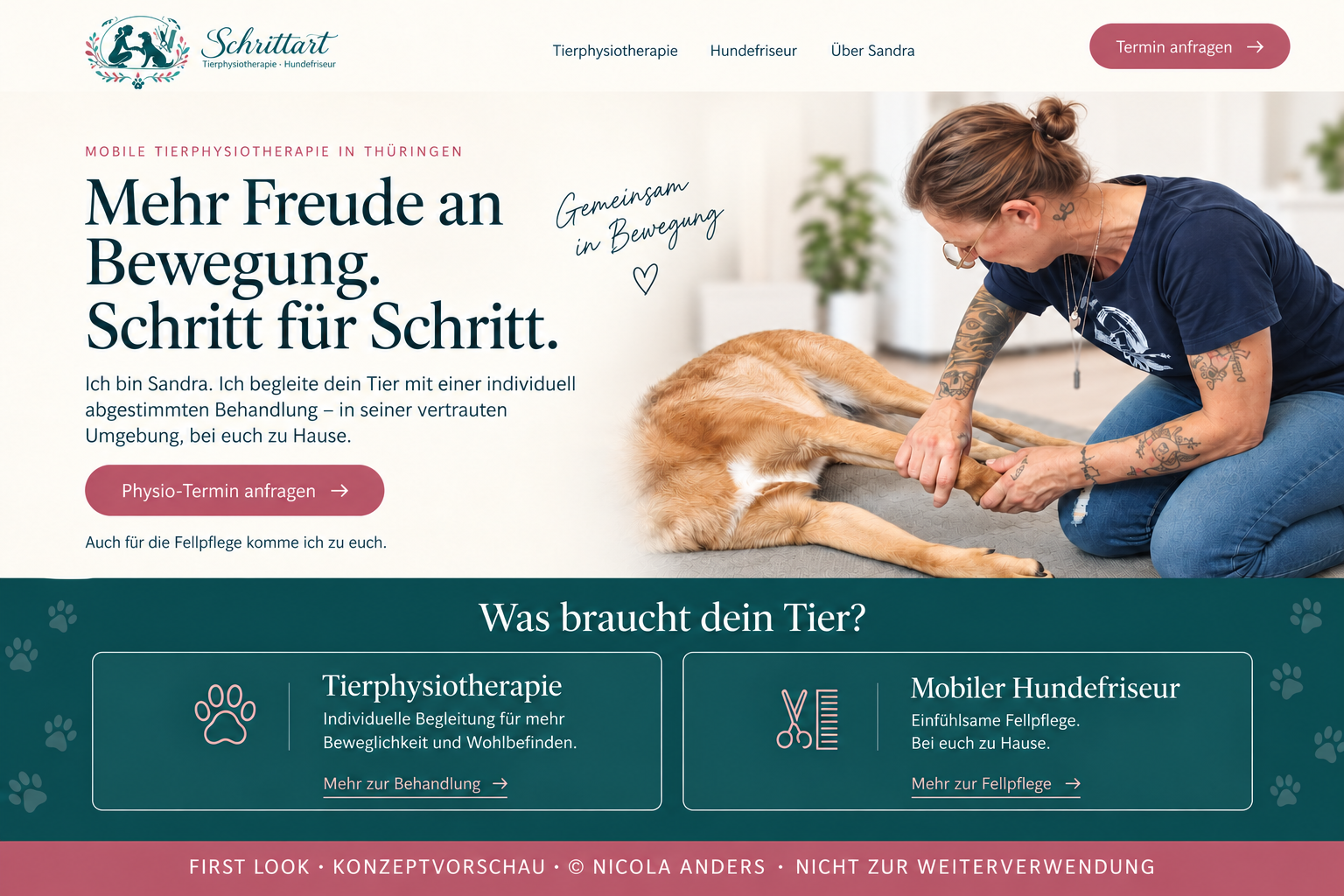 Gekennzeichnete Schrittart-Konzeptvorschau: mobile Tierphysiotherapie, Sandra bei der Behandlung eines Hundes und zwei getrennte Angebote für Tierphysiotherapie und mobile Fellpflege.